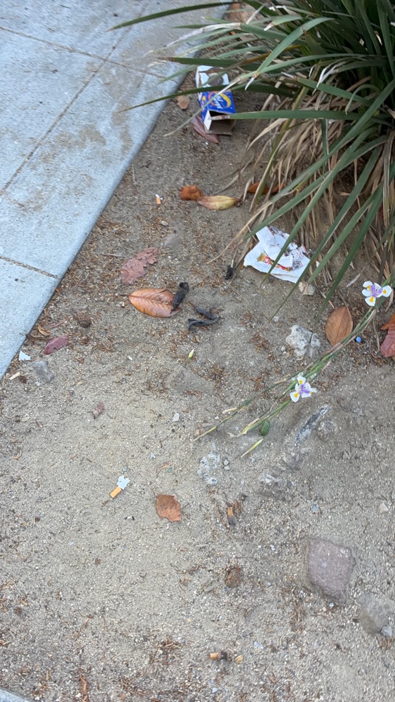 Photo attached to case 202000186209