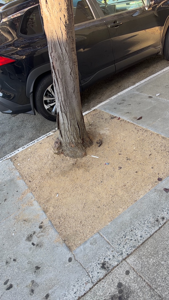 Photo attached to case 202000187816