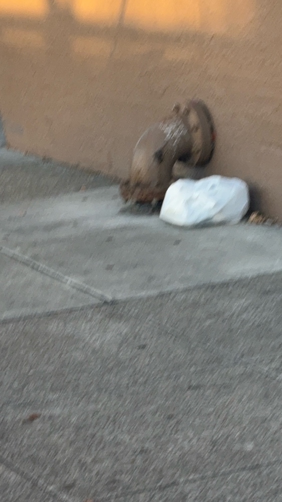 Photo attached to case 202000188068