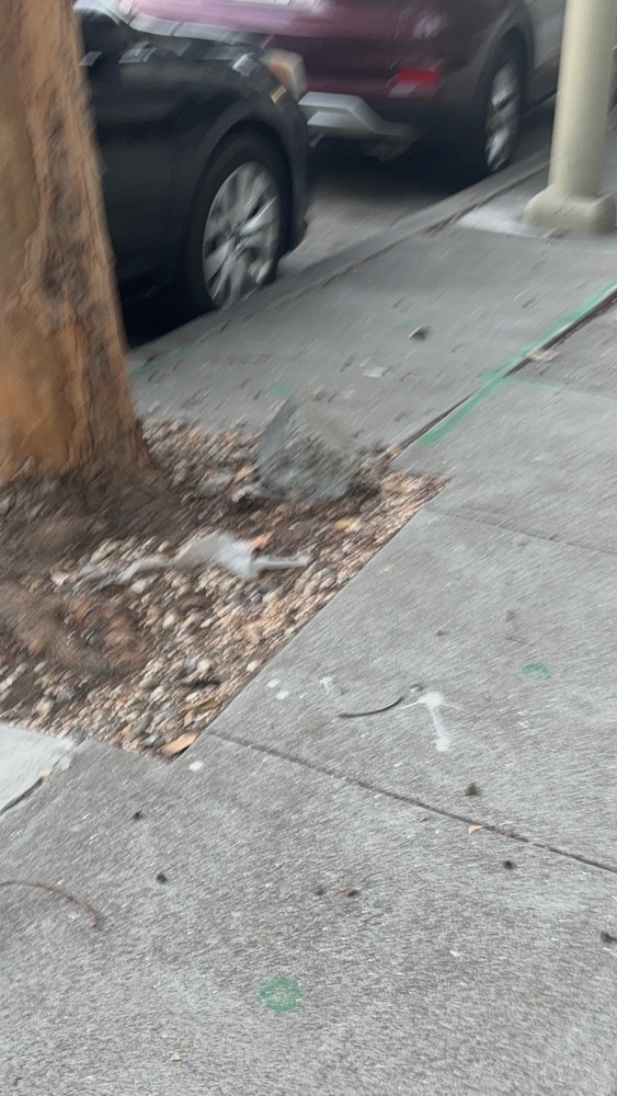 Photo attached to case 202000188083
