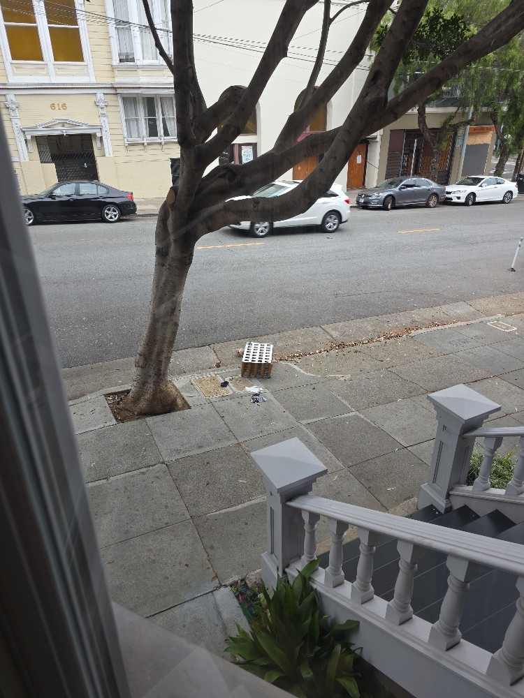 Photo attached to case 202000207534
