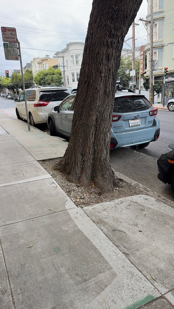 Photo attached to case 202000208318