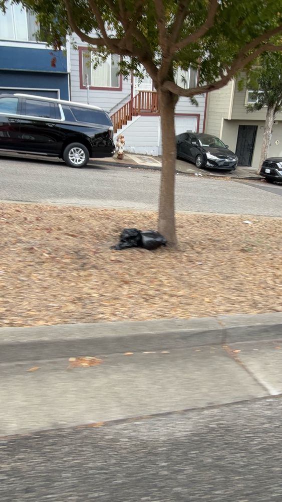 Photo attached to case 202000208324