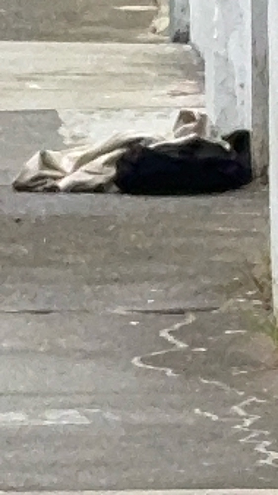 Photo attached to case 202000208343