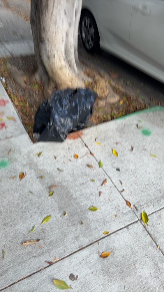 Photo attached to case 202000208458