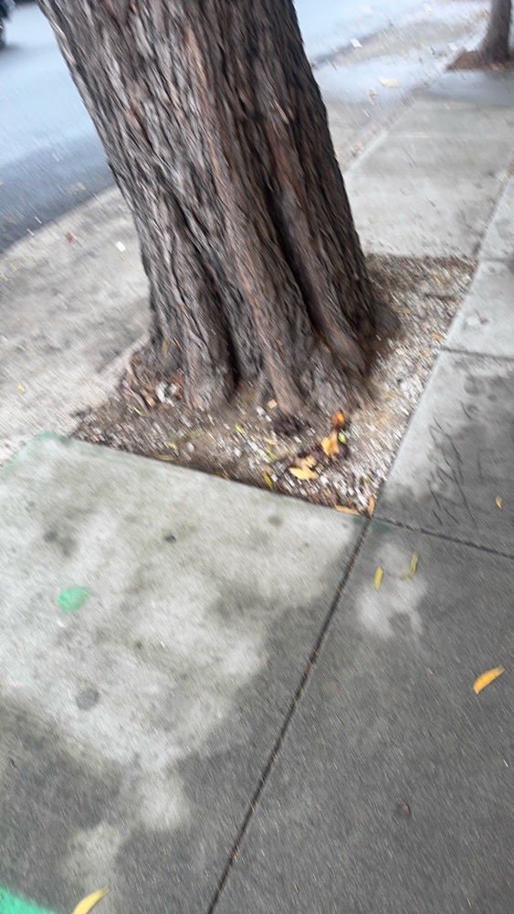 Photo attached to case 202000210125