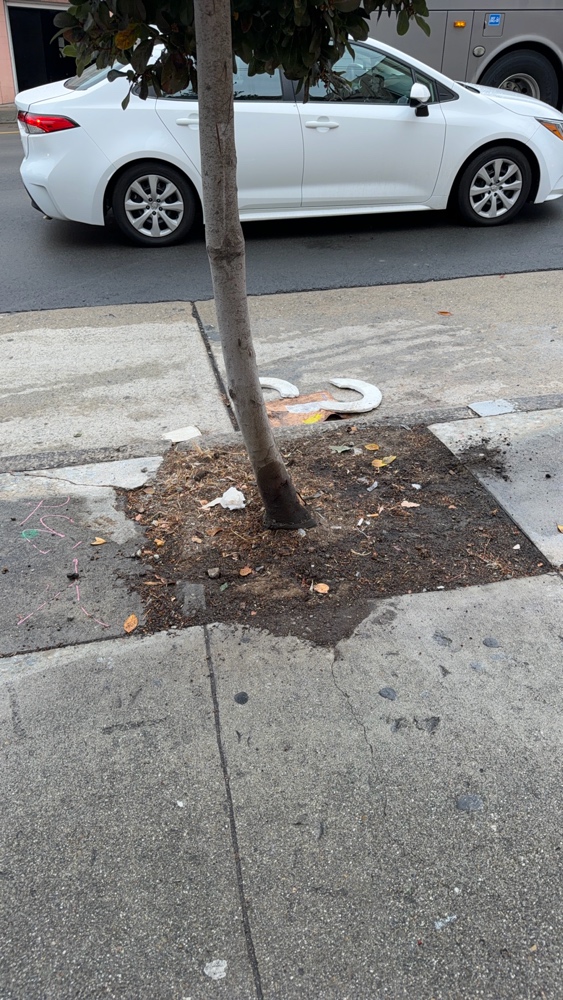 Photo attached to case 202000210281