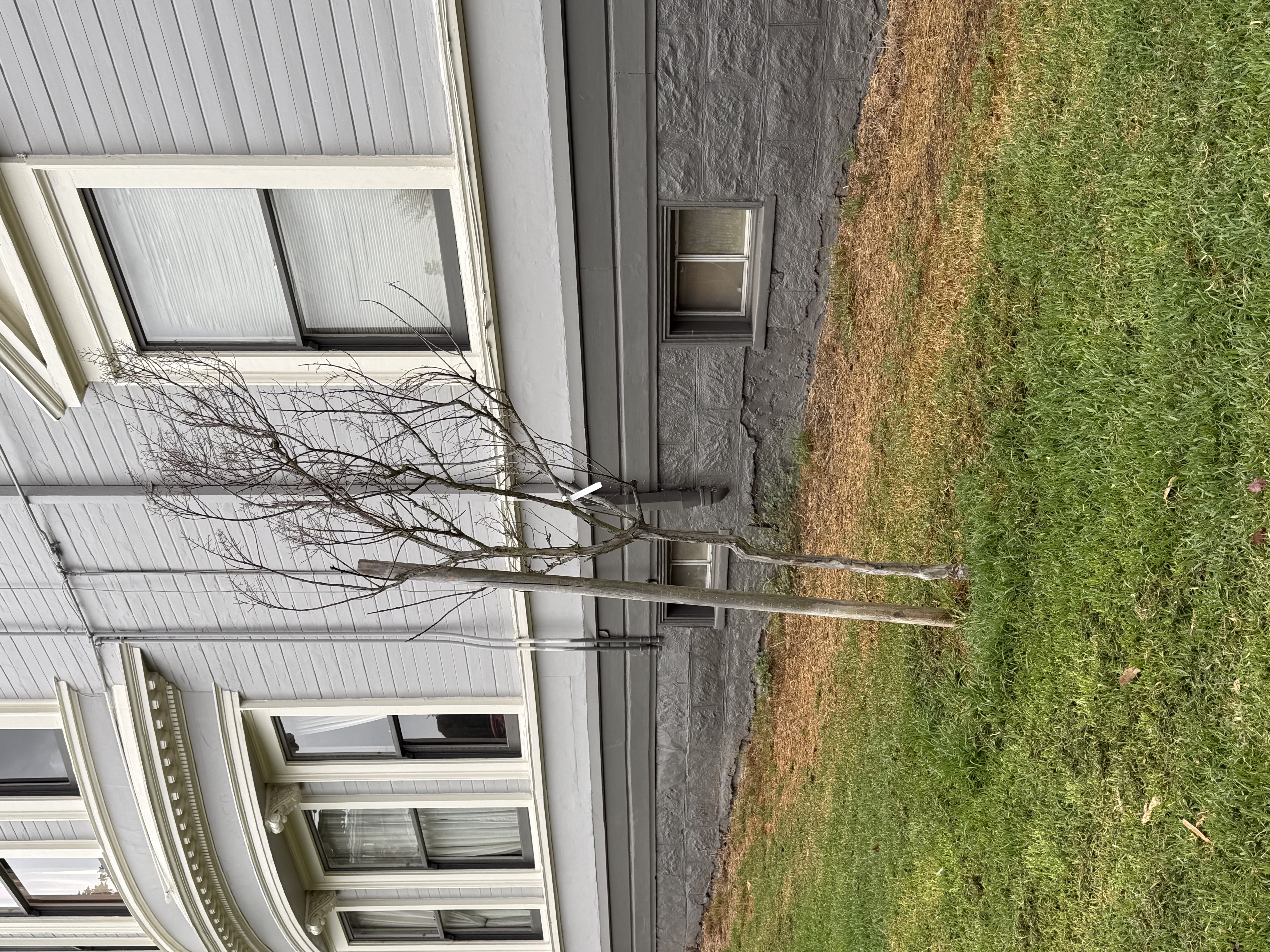 Photo attached to case 202000210978