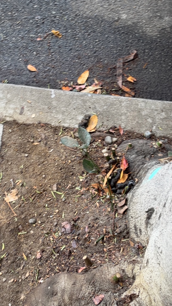 Photo attached to case 202000211048