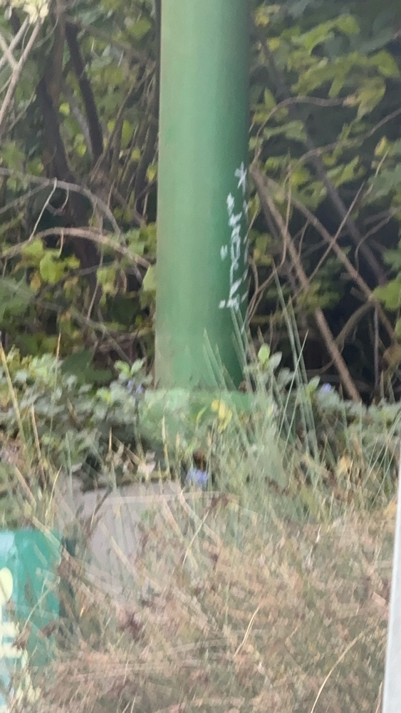 Photo attached to case 202000211657