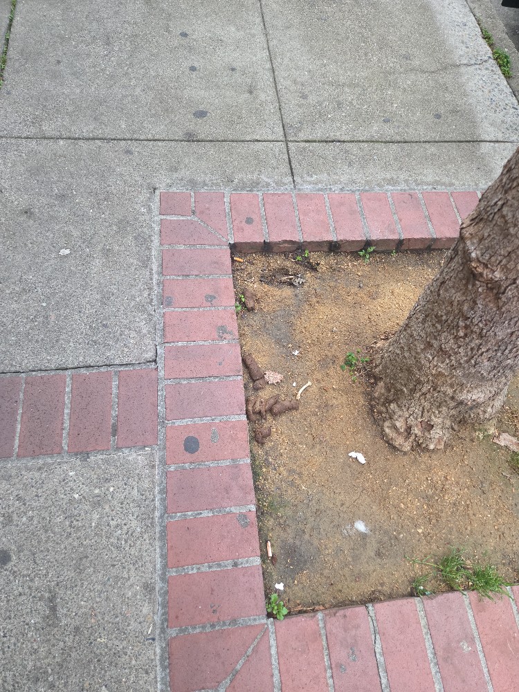 Photo attached to case 202000211985