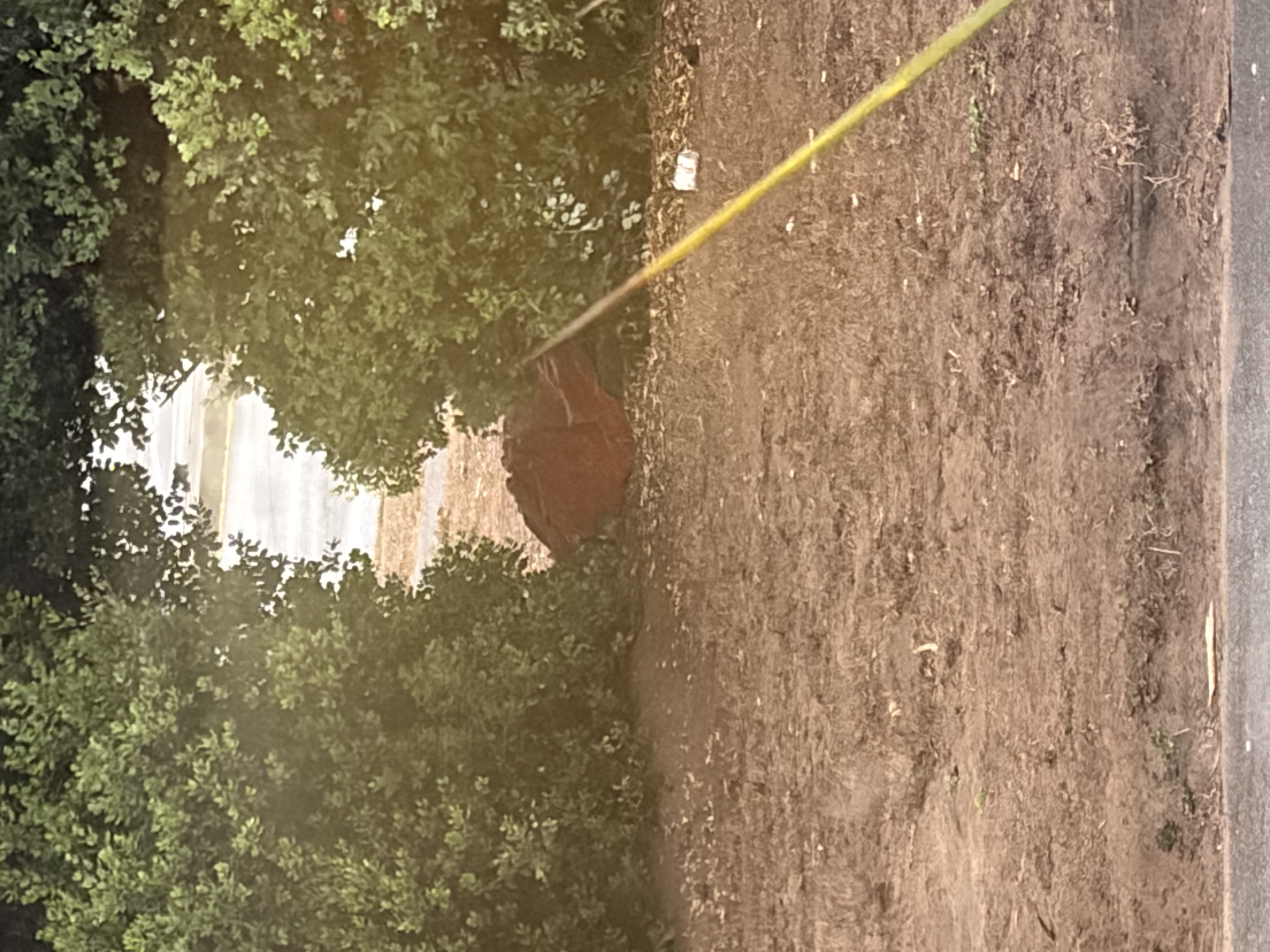 Photo attached to case 202000212066
