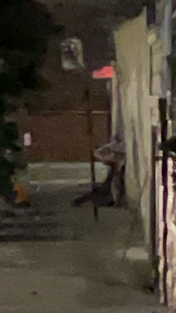 Photo attached to case 202000212166