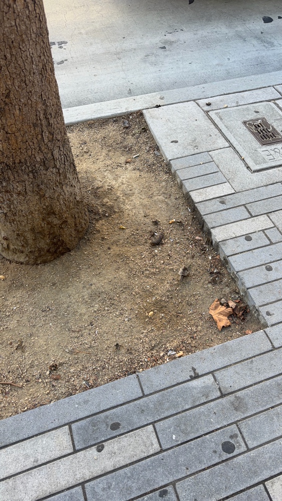 Photo attached to case 202000214126