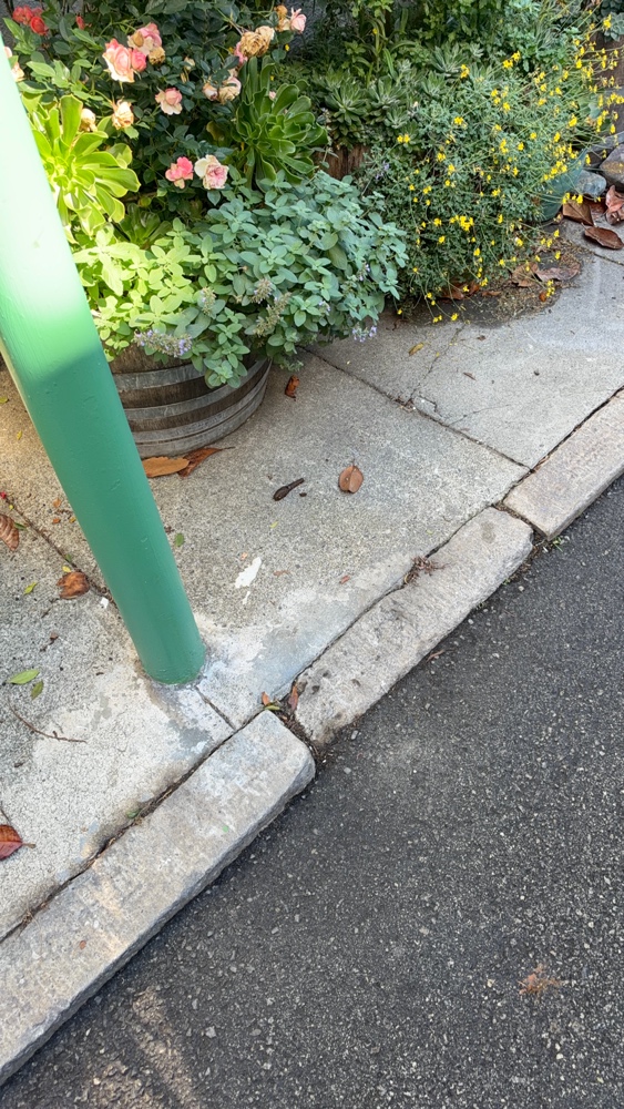 Photo attached to case 202000214542