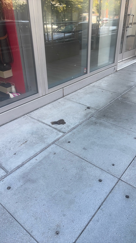Photo attached to case 202000214546
