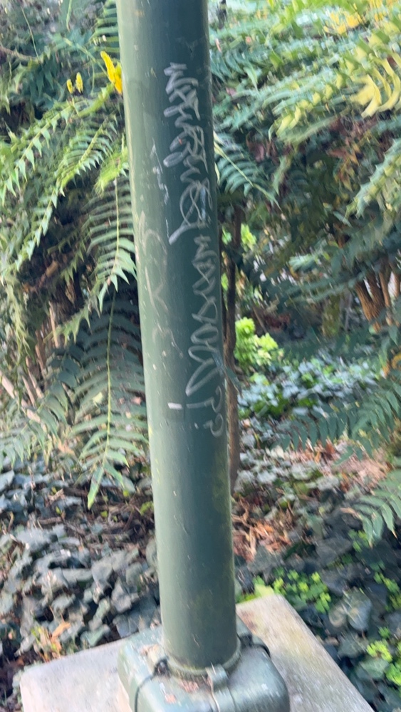 Photo attached to case 202000214845