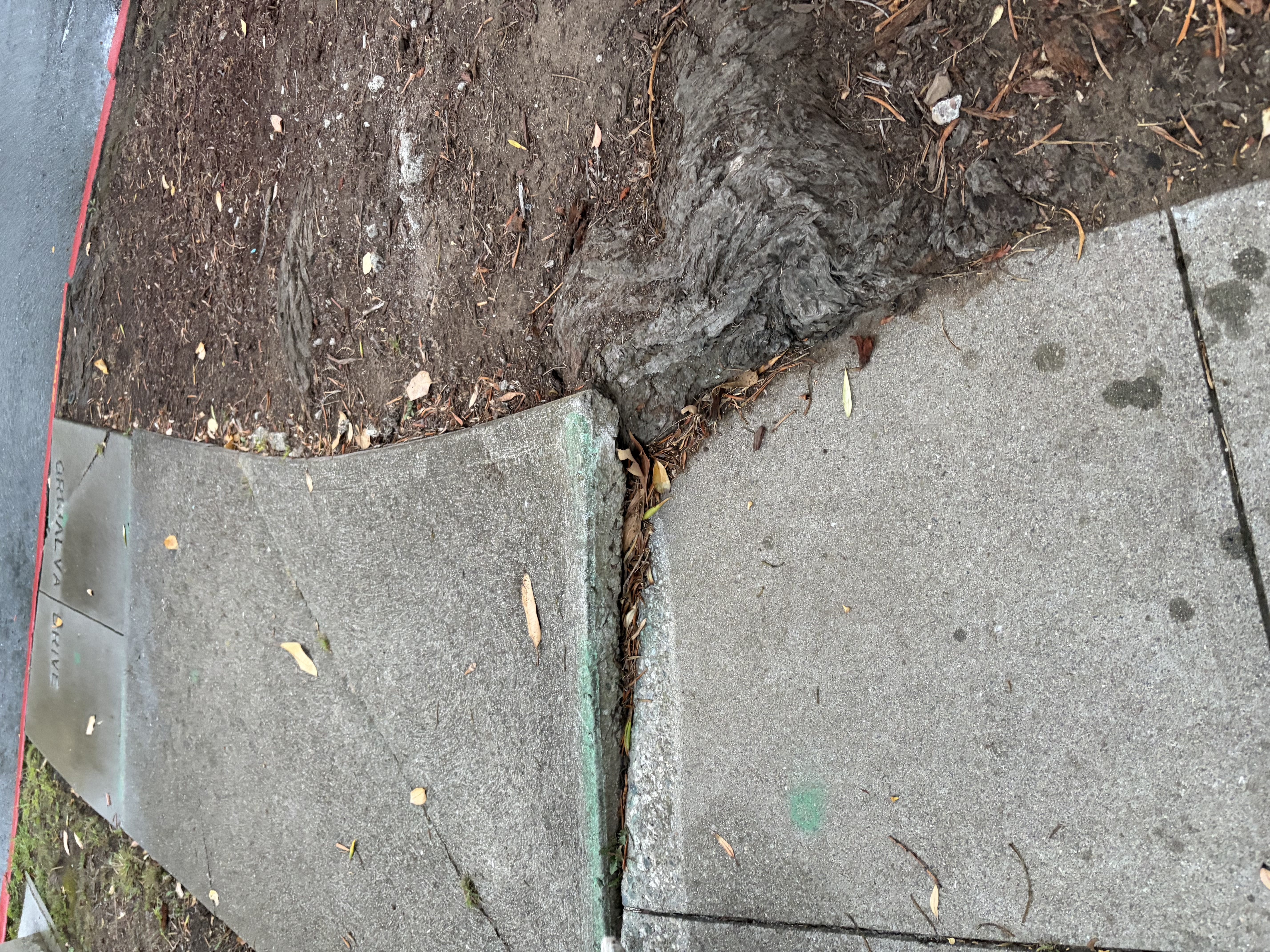 Photo attached to case 202000214853