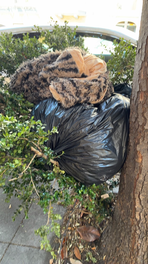 Photo attached to case 202000215101