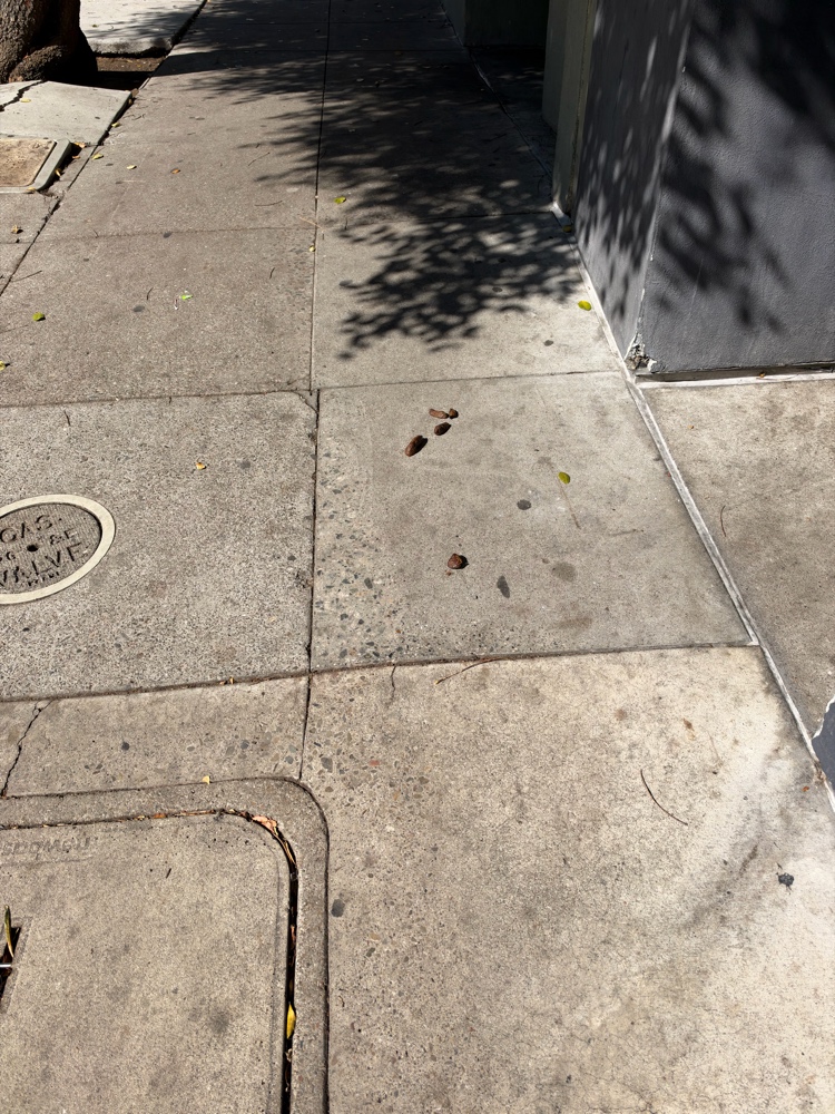 Photo attached to case 202000215134