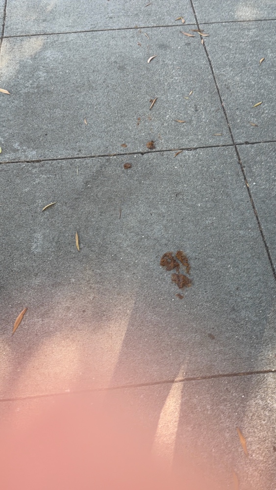 Photo attached to case 202000215216