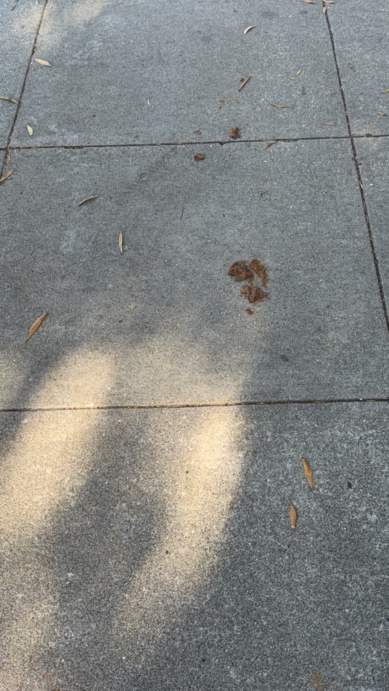 Photo attached to case 202000215217