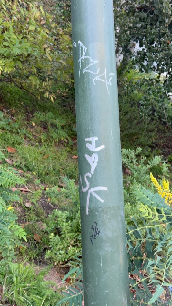 Photo attached to case 202000215679
