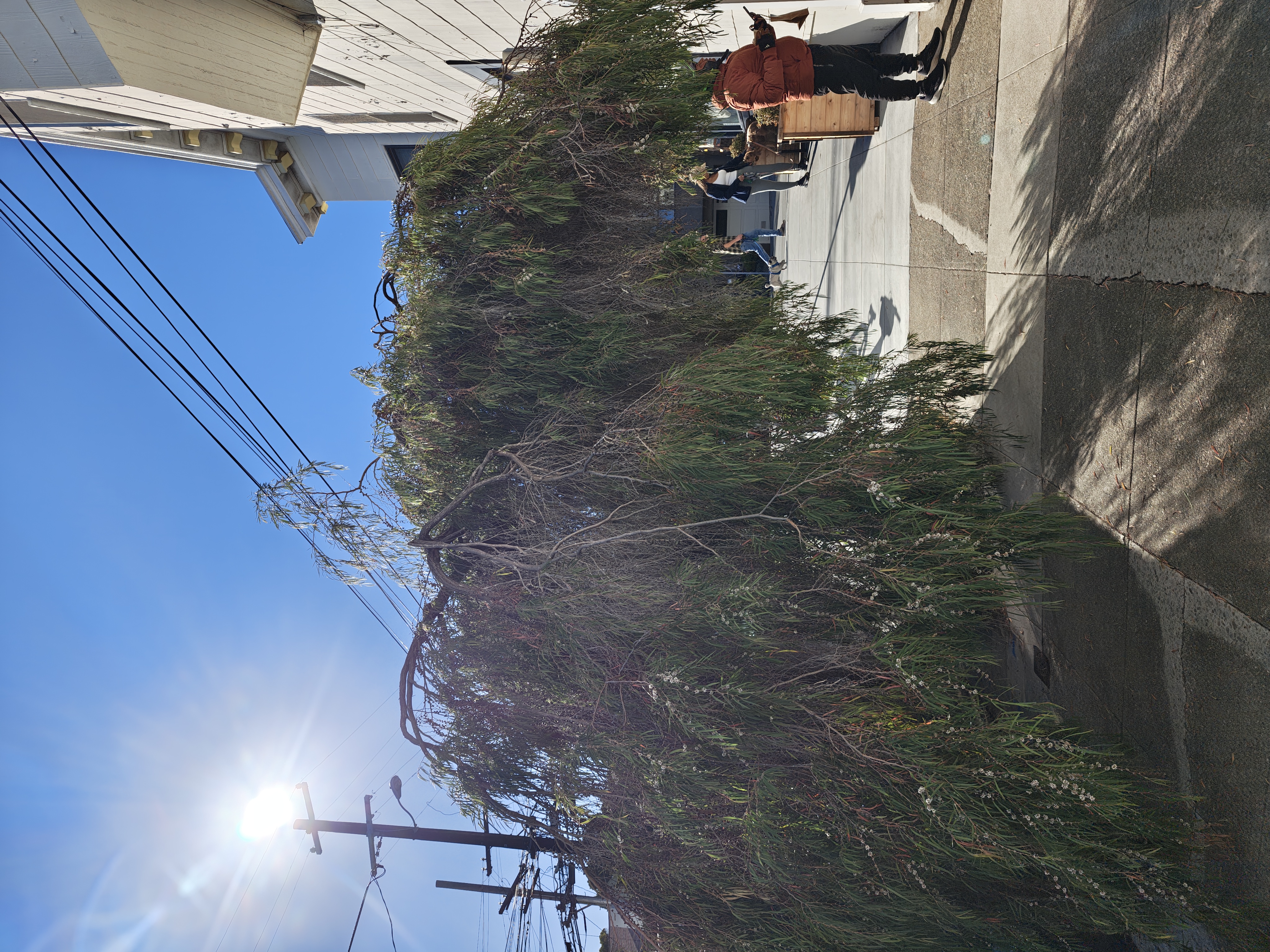 Photo attached to case 202000215702