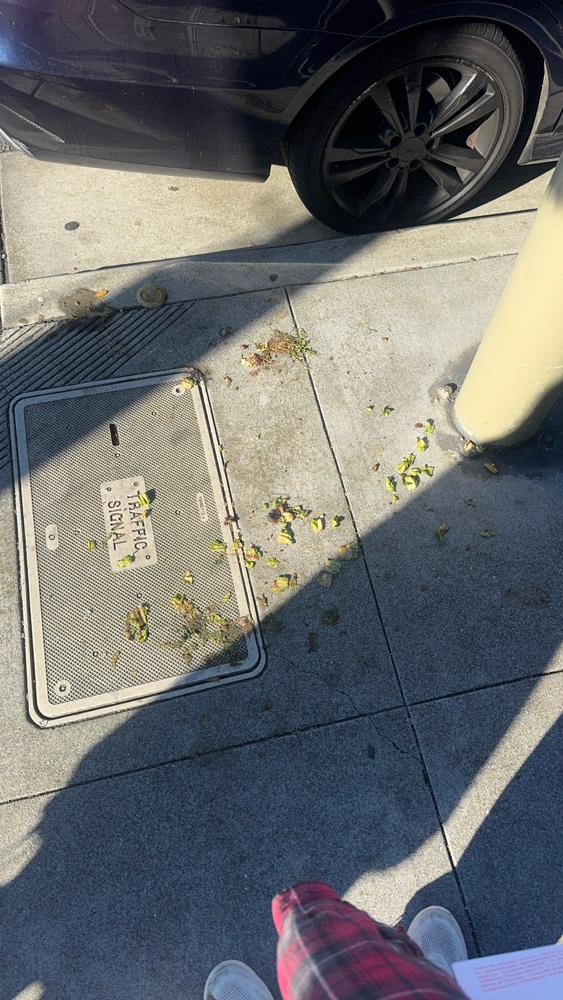 Photo attached to case 202000215704