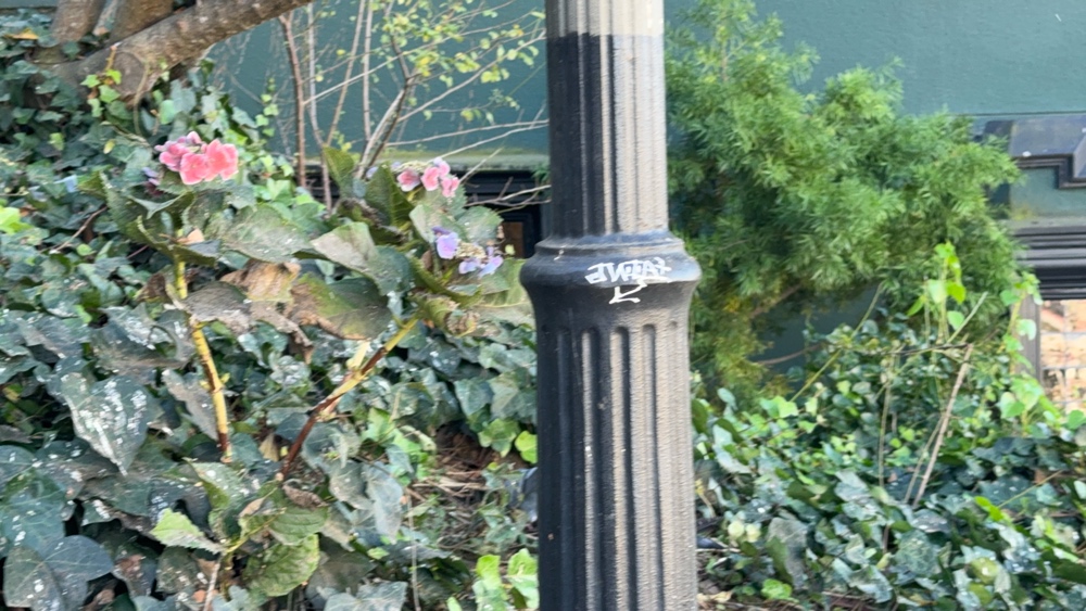 Photo attached to case 202000215745