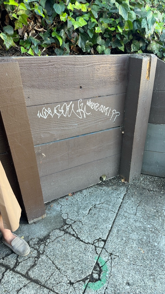 Photo attached to case 202000215747