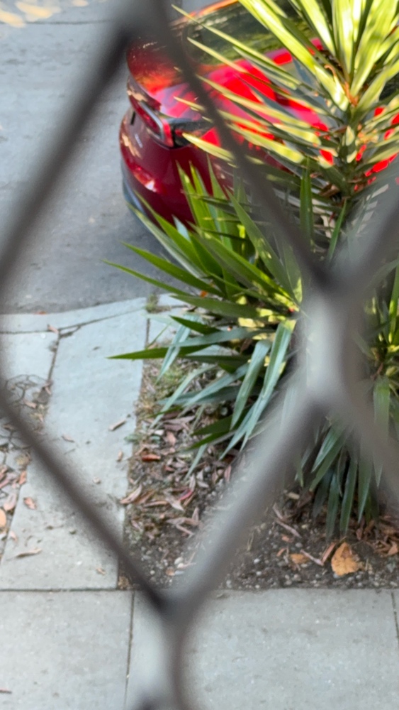 Photo attached to case 202000215866
