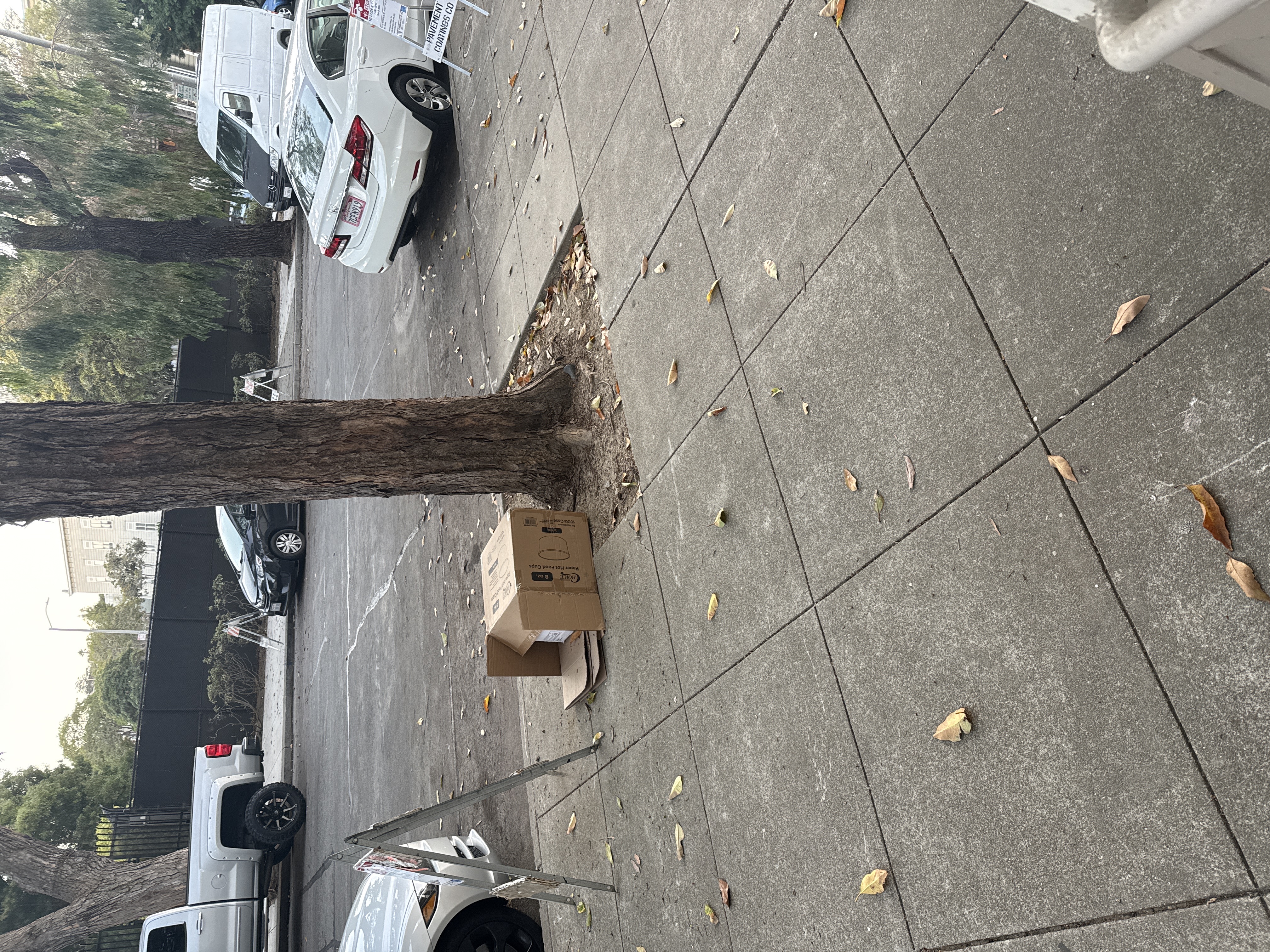 Photo attached to case 202000216135