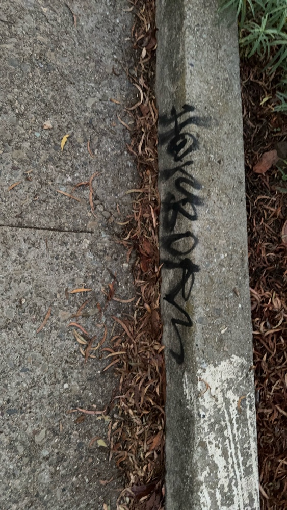 Photo attached to case 202000216222