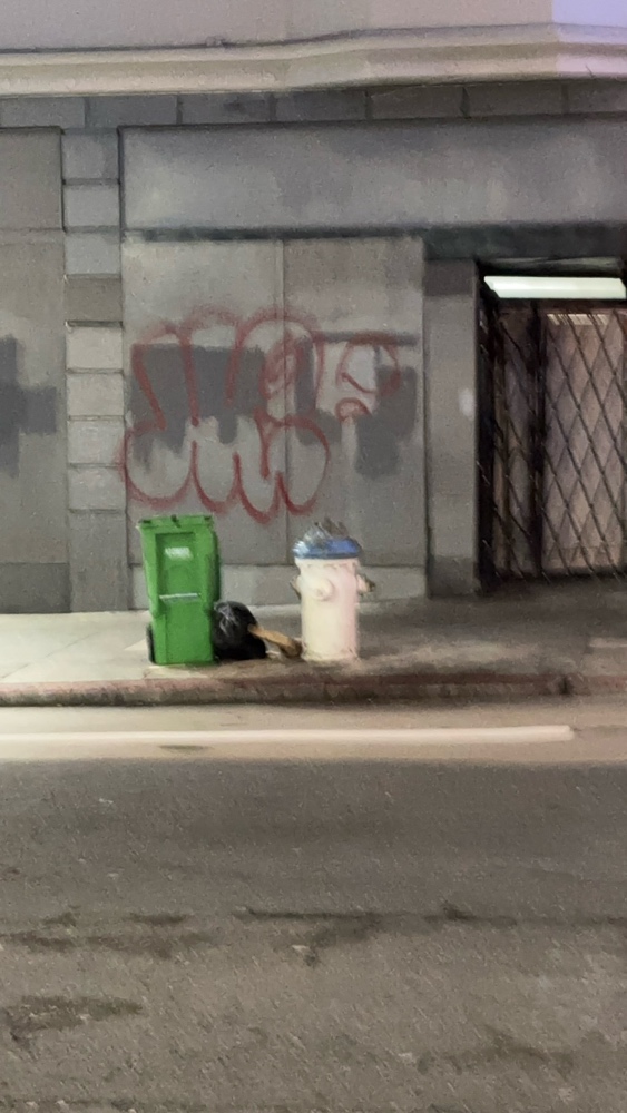 Photo attached to case 202000216234