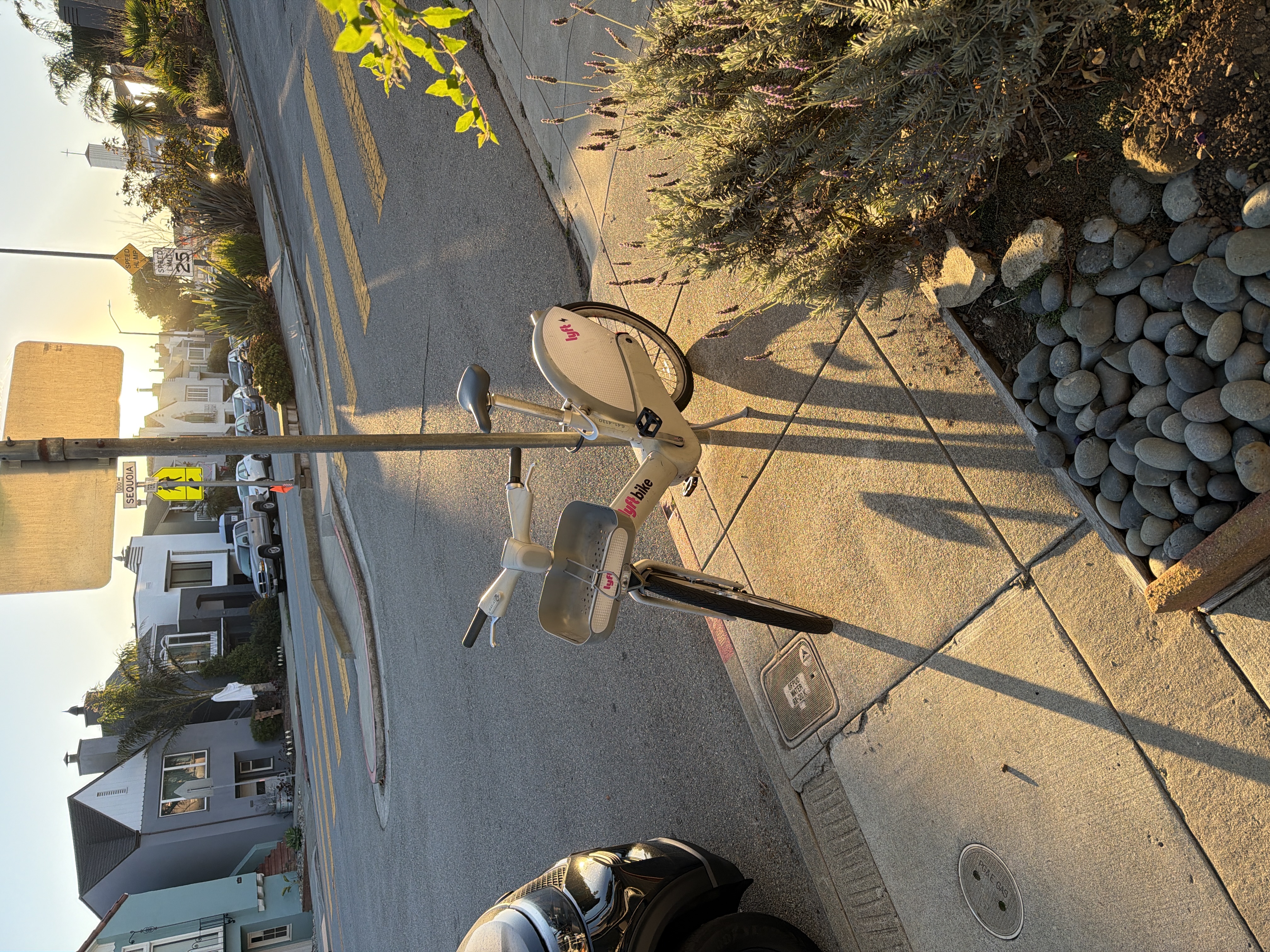 Photo attached to case 202000217521