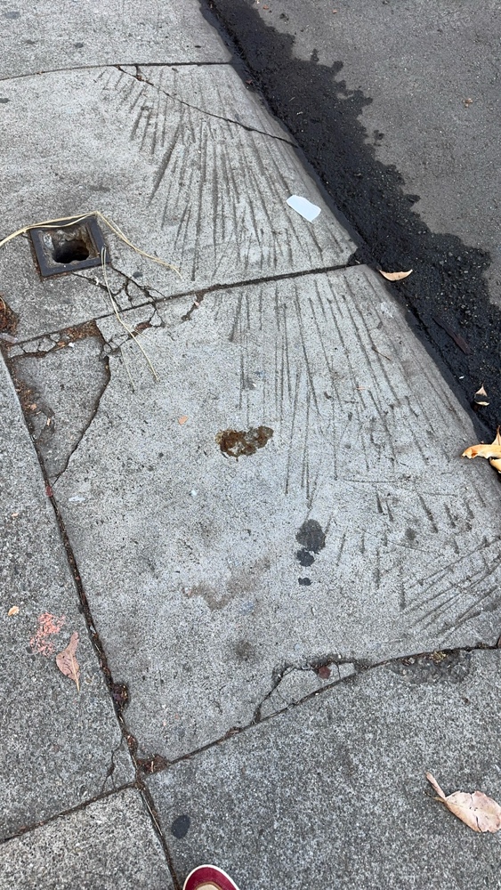 Photo attached to case 202000217766