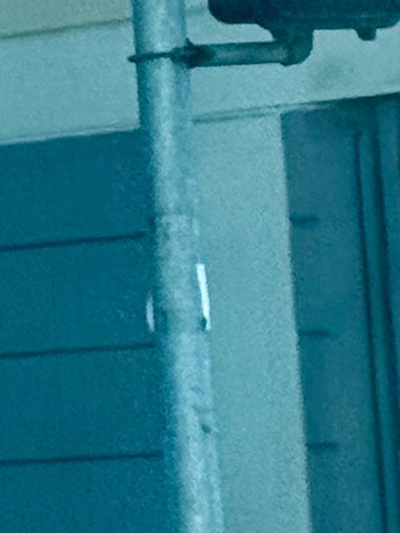 Photo attached to case 202000217837