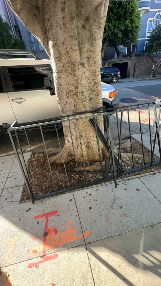 Photo attached to case 202000217982