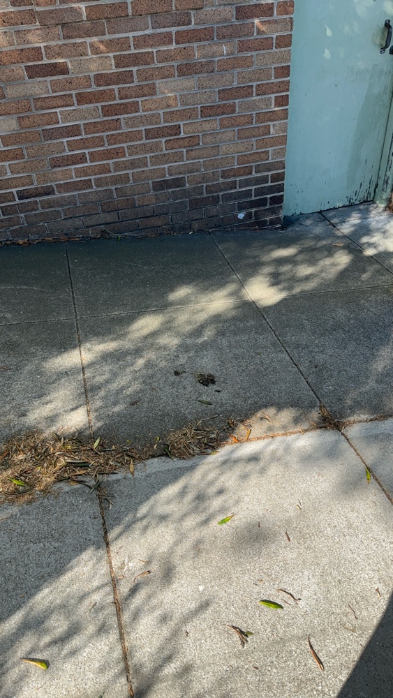 Photo attached to case 202000218210