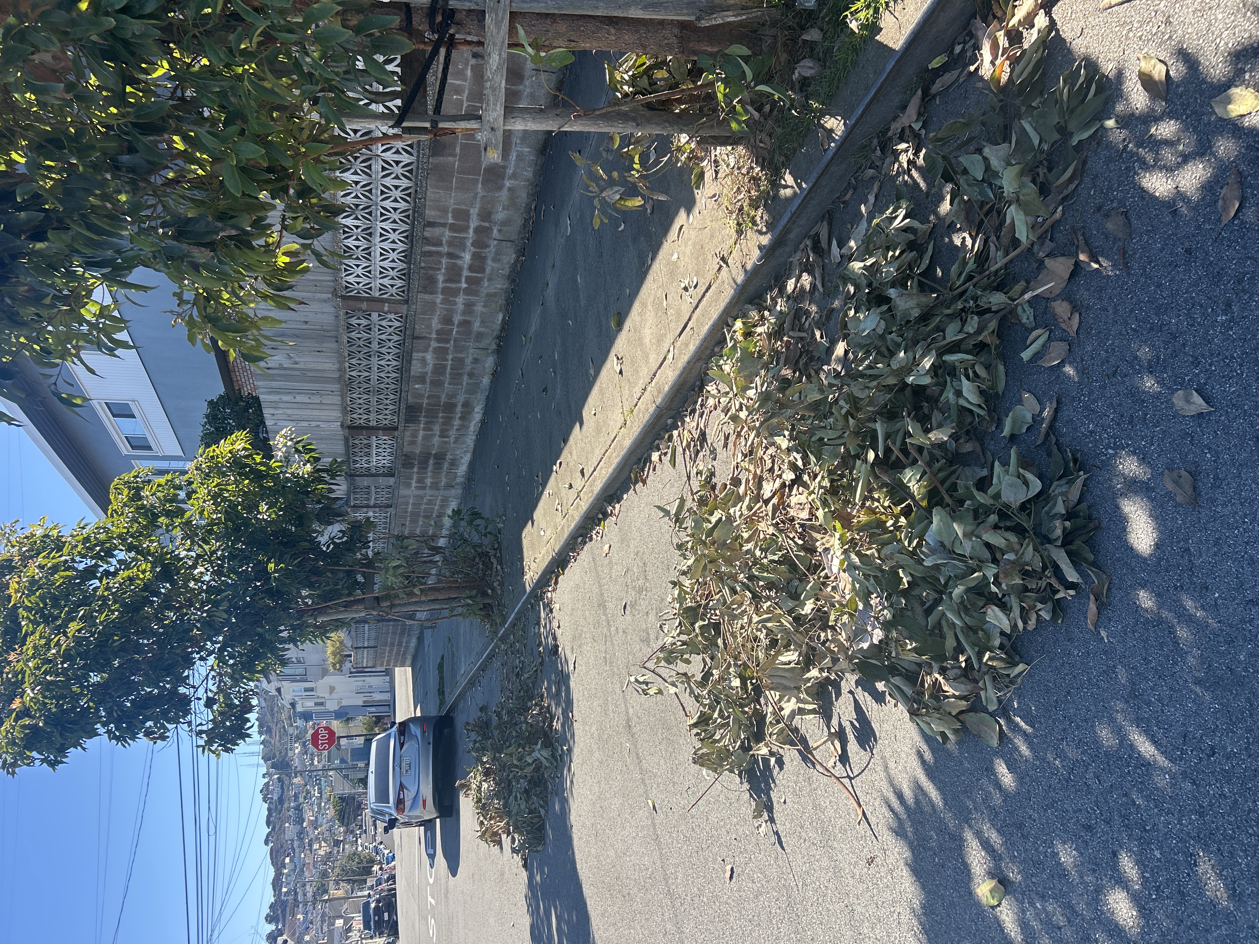 Photo attached to case 202000218678