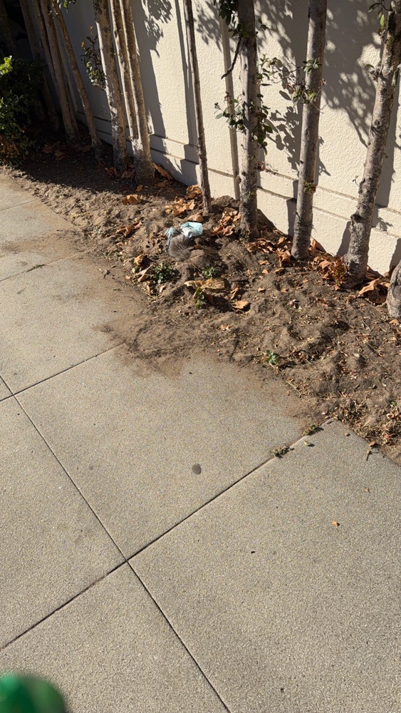 Photo attached to case 202000219281