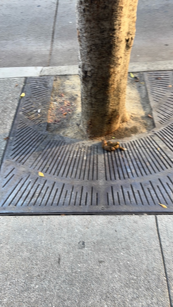 Photo attached to case 202000219465