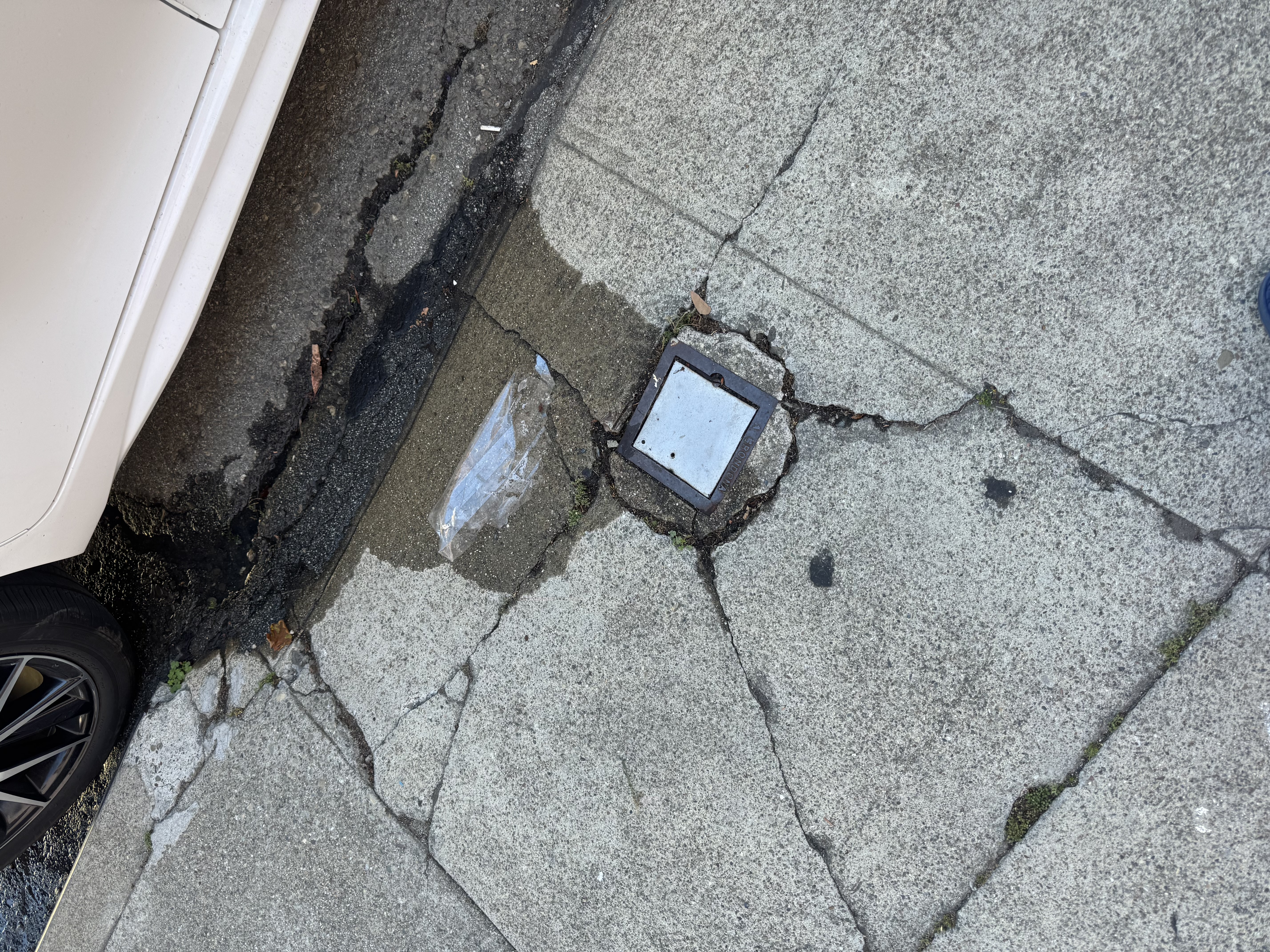 Photo attached to case 202000219549