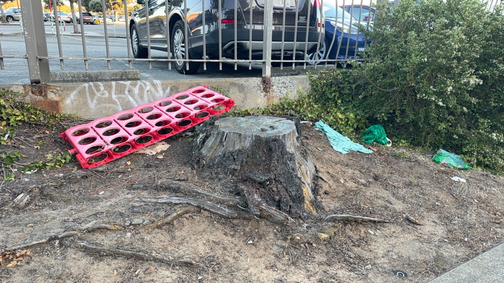 Photo attached to case 202000219628