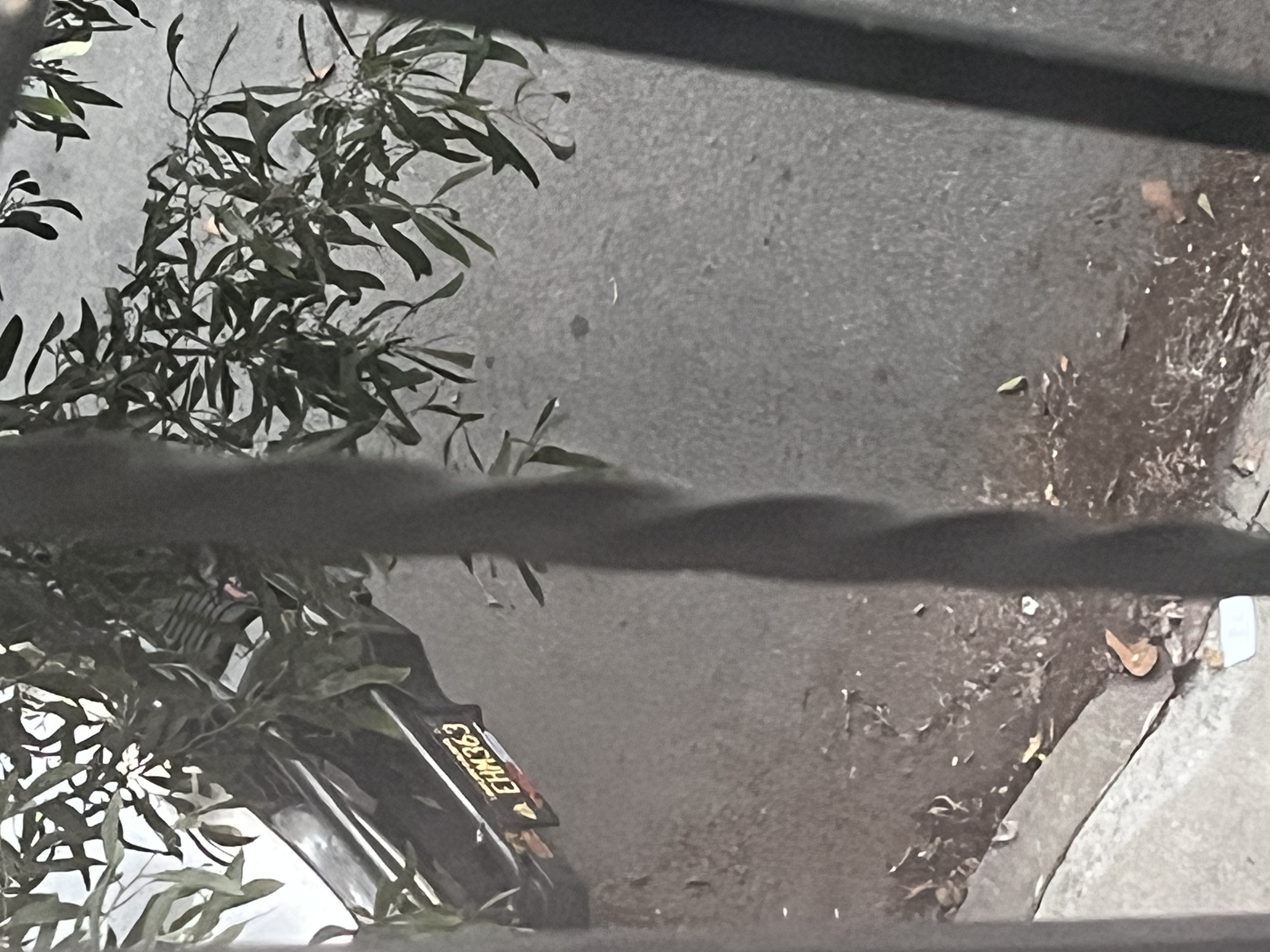 Photo attached to case 202000219731