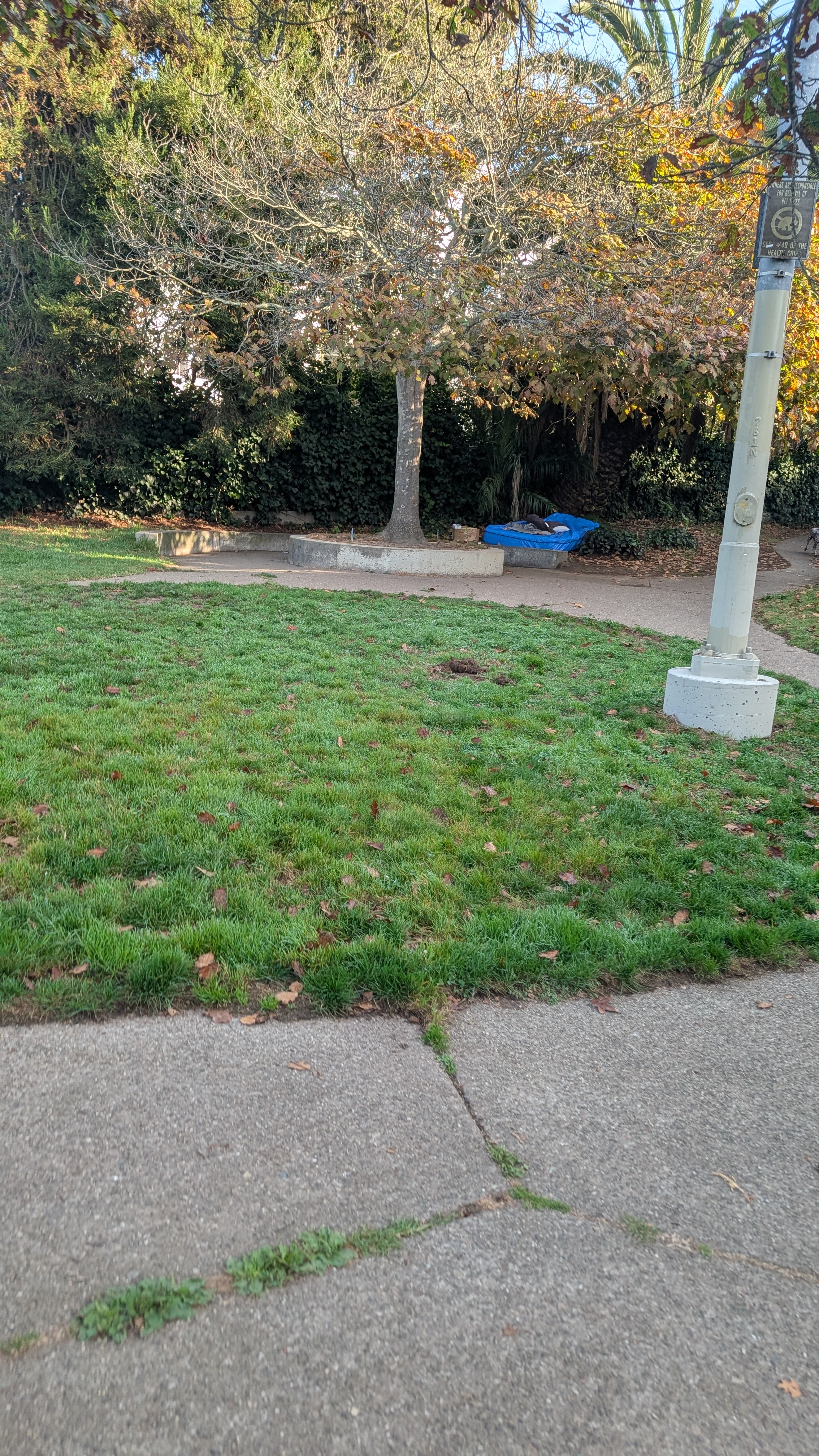 Photo attached to case 202000221674