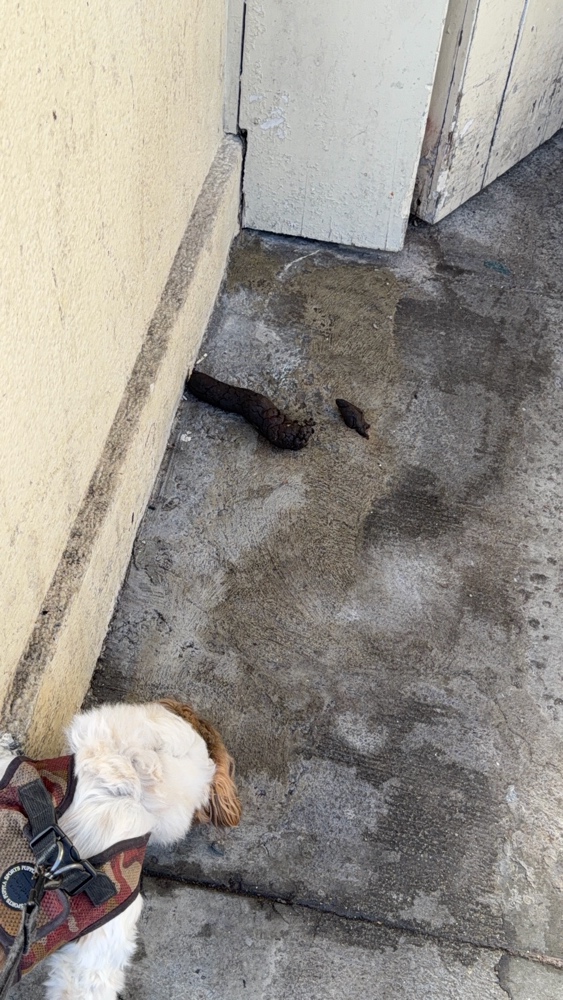 Photo attached to case 202000221736