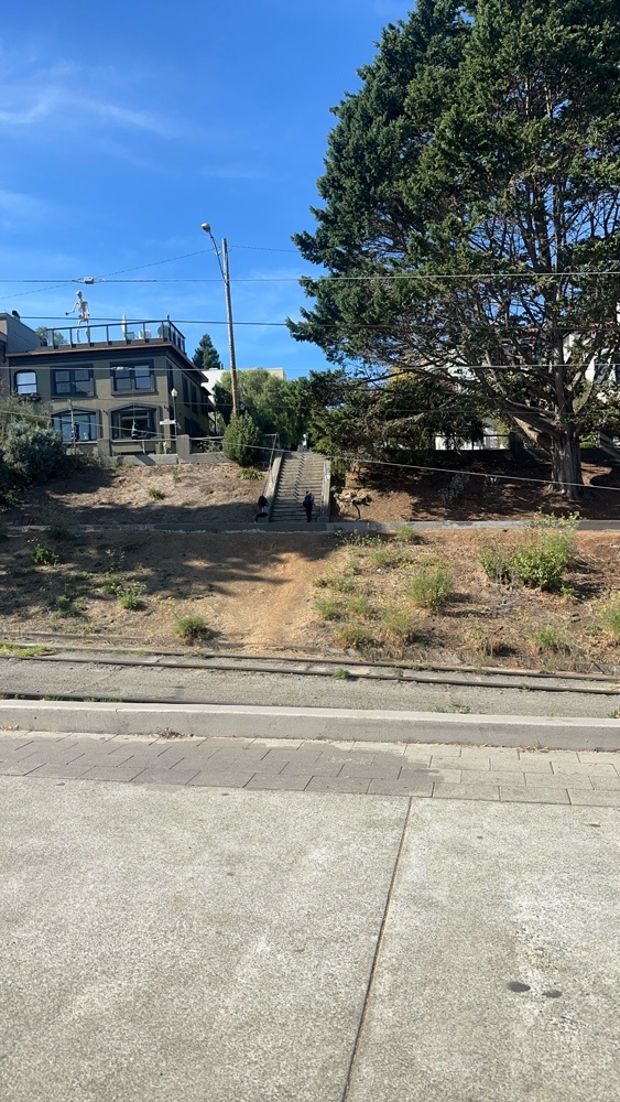 Photo attached to case 202000222307