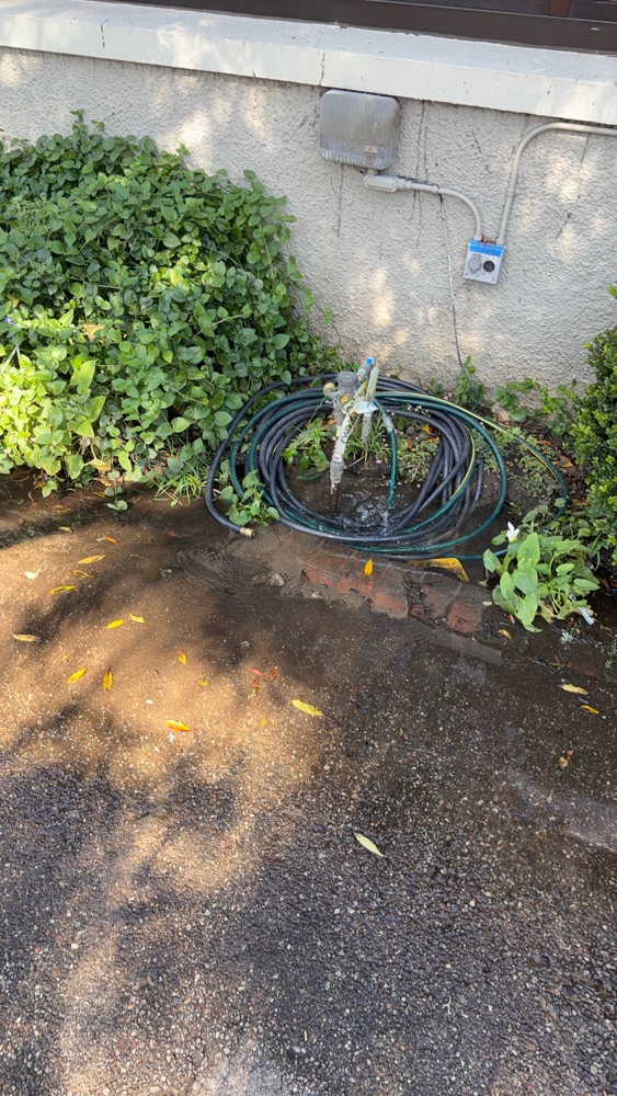 Photo attached to case 202000222463